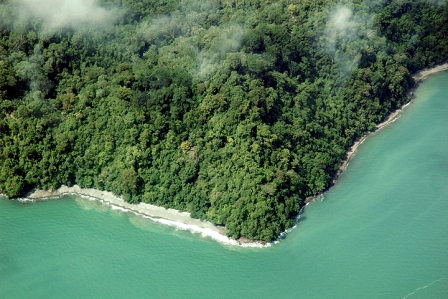 © Verein Regenwald der Österreicher Regenwald der Österreicher am Golfo Dulce